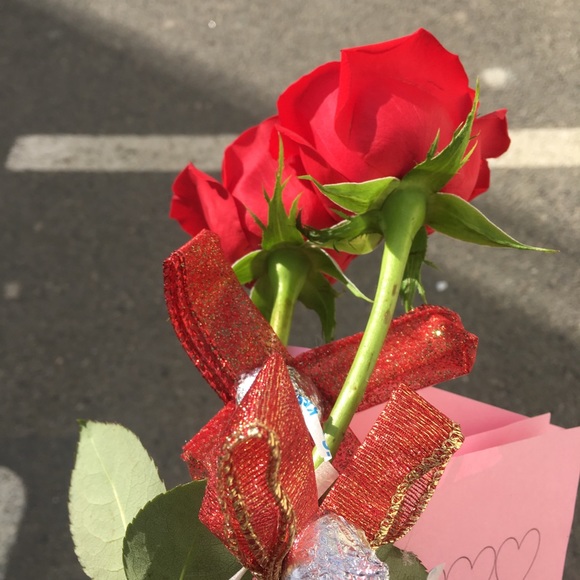 Meet your Posher, Halley - Picture 1 of 1